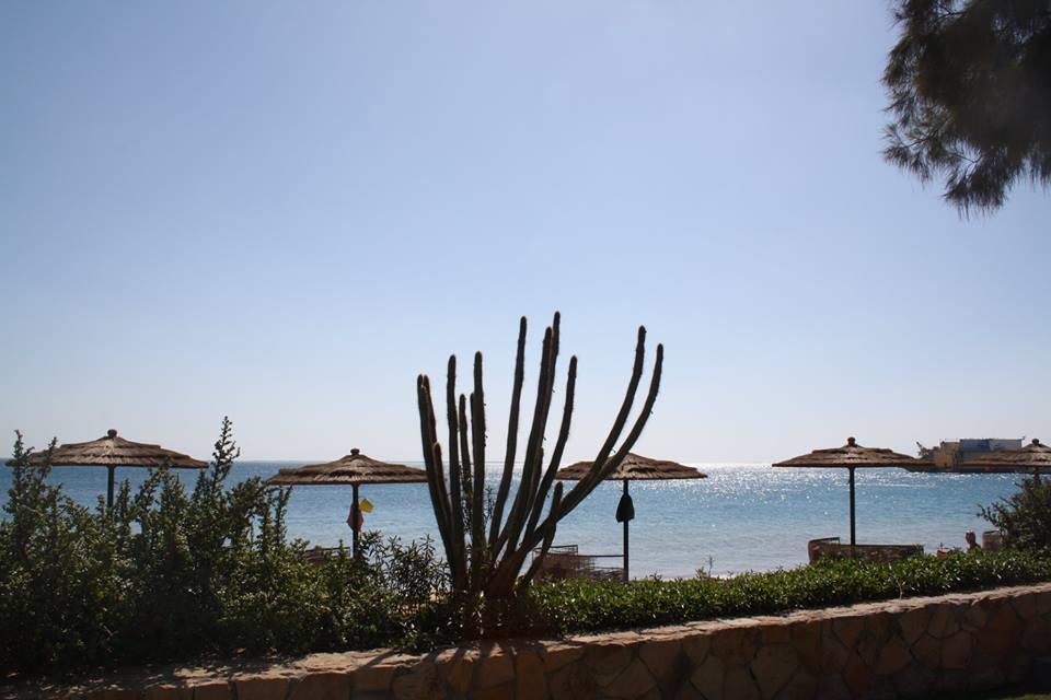 Esplanada Beach Apartment 洪加達 外观 照片